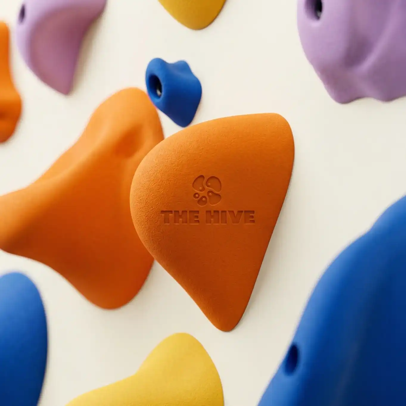 The Hive brief image 2